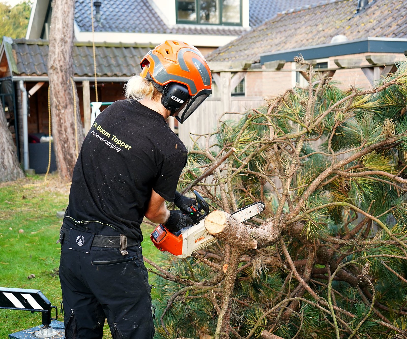 Boomverzorger zaagt een omgewaaide den in stukken